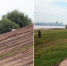 拼版图片：左图为今年7月所拍摄的赣江南昌段水位；右图为今日所拍图片，最高水位退去后的痕迹仍留在堤岸上。 - 人民网