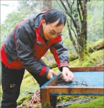 西藏林芝：坚持植树造林防沙治沙 生物多样性得到修复 - 上饶之窗