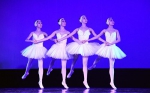 中央芭蕾舞团专场演出走进东华理工大学 - 教育网