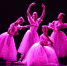 2016高雅艺术进校园——中央芭蕾舞团《走进芭蕾》专场演出在南昌师范学院举行 - 教育网