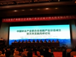 中国林业产业联合会龙脑产业分会成立暨天然龙脑高峰论坛在吉安举行 - 科技厅