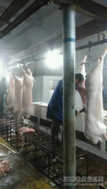 屠宰场里夜检忙
渝水区农业局加强生猪定点屠宰的检验检疫 - 农业厅