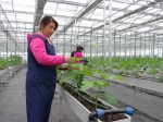 赣州市：打造蔬菜种植工业化2.0版 - 农业机械化信息