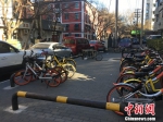密码漏洞、儿童违规骑共享单车引关注 - 江西新闻广播