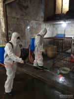 上栗县农业局全面落实H7N9疫情防控工作 - 农业厅