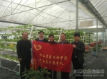 江西省农科院专家志愿者深入崇仁指导现代农业示范园工作 - 农业厅