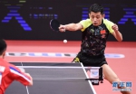 亚锦赛男团：中国队晋级四强 - 体育局