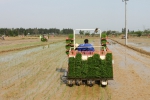 江西举办水稻机械化种植现场观摩会 - 农业机械化信息