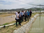 江西省特种水产体系专家赴鹰潭调研泥鳅产业发展情况 - 农业厅