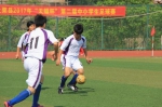 上栗县2017年“天蝠杯”第二届中小学生足球比赛顺利闭幕 - 体育局