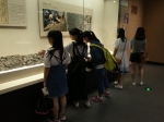 文学院大骨班学员到博物馆参观学习活动圆满结束 - 江西科技师范大学