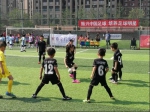 2017年“嘉宝莉杯”南昌市青少年足球俱乐部联赛正式开赛 - 体育局