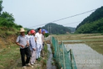 武宁县种子局开展水稻生产技术服务工作 - 农业厅