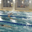 省少儿中心开展青少年游泳达标测试活动 - 体育局