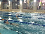 省少儿中心开展青少年游泳达标测试活动 - 体育局
