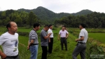 乐平市农业局积极做好水稻种子发放及恢复生产工作 - 农业厅