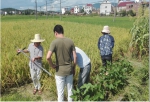 省农科院一行到莲花县开展农产品安全风险评估抽样工作 - 农业厅