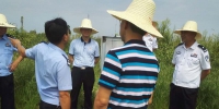 杨丕龙副厅长赴省监狱局成新农场指导高标准农田项目高效节水工程建设 - 水利厅