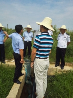 杨丕龙副厅长赴省监狱局成新农场指导高标准农田项目高效节水工程建设 - 水利厅