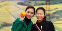 渝水区农业局做好柑橘新品种的开发 - 农业厅