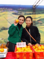 渝水区农业局做好柑橘新品种的开发 - 农业厅