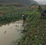 渝水区清河行动清理河道水葫芦取得明显效果 - 农业厅