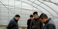 湖口县开展春节前农产品质量安全专项检查 - 农业厅