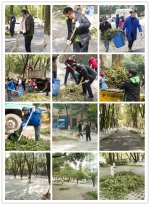 我校师生发起集中清理积雪落木行动 - 江西财经大学