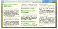 江西日报：春风常绿江南岸——江西打造长江“最美岸线”系列报道之岸美篇 - 发改委