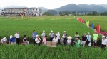 江西省2018年水稻新品种展示会在上饶铅山召开 - 江西农业大学