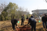 学院开展2019年植树节义务植树活动 - 江西经济管理职业学院