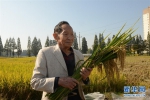 （爱国情 奋斗者·图文互动）（3）一颗稻谷里的爱国情怀——记“杂交水稻之父”袁隆平 - 上饶之窗