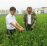 【爱国情 奋斗者】曾勇军：勇作农业科技创新的领军人 - 江西农业大学