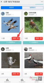 江西省鸟评选启动 个人发起助力可获自然环境体验活动1次 - 中国江西网