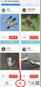 江西省鸟评选启动 个人发起助力可获自然环境体验活动1次 - 中国江西网