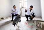 74岁的他创办候鸟医院（图） - 中国江西网