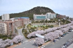 我校与韩国木浦科学大学、韩国世翰大学合作办学 - 江西科技职业学院