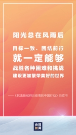 十张海报看《抗击新冠肺炎疫情的中国行动》白皮书 - 上饶之窗