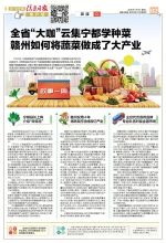 全省“大咖”云集宁都学种菜 赣州如何将蔬菜做成了大产业 - 中国江西网