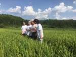 【文明实践】农学院：青春在希望的田野上闪亮 - 江西农业大学