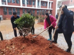 学院开展2021年植树节义务植树活动 - 江西经济管理职业学院