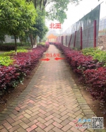 人行通道不足2米宽 南昌县一小区被曝存消防安全隐患 - 中国江西网