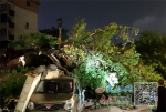 疾风骤雨 大树倒了 接着墙垮 汽车被压（图） - 中国江西网