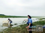 湖内非法捕鱼 增殖放流补过（图） - 中国江西网