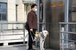 南昌第一只导盲犬与主人的故事 - 中国江西网