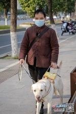 南昌第一只导盲犬与主人的故事 - 中国江西网