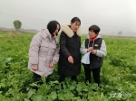连续阴雨来袭！江西农业部门发布农事建议 - 中国江西网