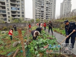 清理乱倒垃圾 公园恢复洁净 - 中国江西网