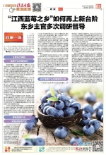 “江西蓝莓之乡”如何再上新台阶 东乡主官多次调研督导 - 中国江西网
