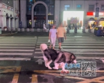 公共场所仍可见大型犬只未系绳 - 中国江西网